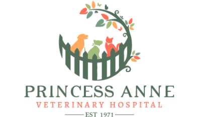 ASSET - Princess Anne Veterinary Hospital 0157